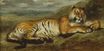 Tiger Resting 1830
