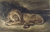 Lion and Snake 1846
