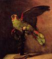 The Green Parrot 1886