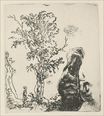 Rembrandt van Rijn - Sketch of a Tree 1638