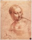 Leonardo da Vinci - Study for Madonna with the Yarnwinder 1501