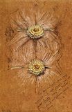 Study of Rosettes for Lady's Dress 1874